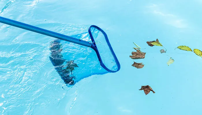 Pool Inspection